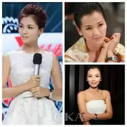 刘涛丹麦失窃她的这几款名表也凶多吉少了