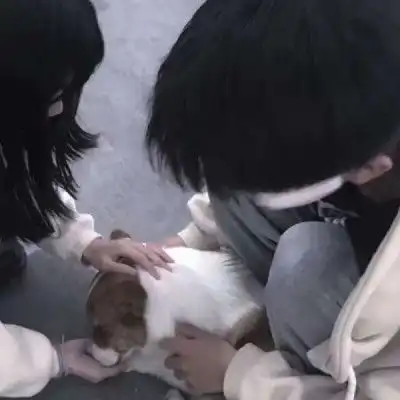 精彩组图