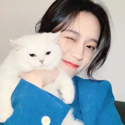 18句让人秒赞的朋友圈搞笑句子大全,适合发圈的幽默说说
