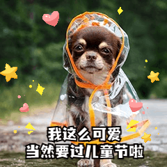摩尔庄园手游重出江湖,cs专业出身的他们竟是隐形守护者高薪专业系列