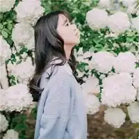 田野美女侧面头像图片唯美美女田野侧脸头像