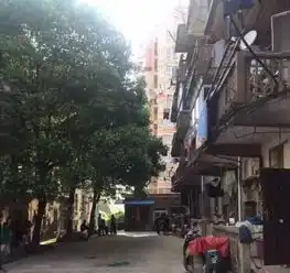 江西15岁女孩跳楼身亡,本不应该是这样的结果