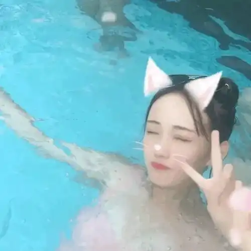 捧猫少女折耳萝莉都是我