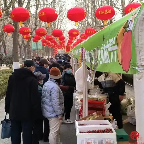 年味渐浓济南园林市集年货会在花圃公园开市