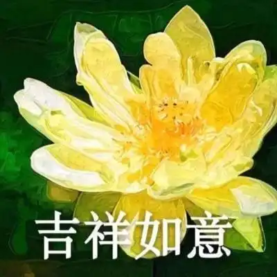 qq头像有字的荷花图片荷花头像图片大全集