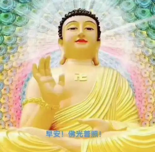 张恒爆料郑爽逃税漏税后,爽妈求佛保平安换佛祖头像信息量大