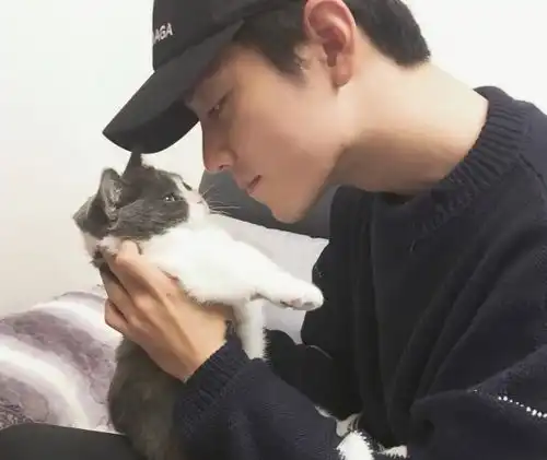 肖战的猫火了,看到他宠溺的眼神,网友想做肖战怀里的那只猫