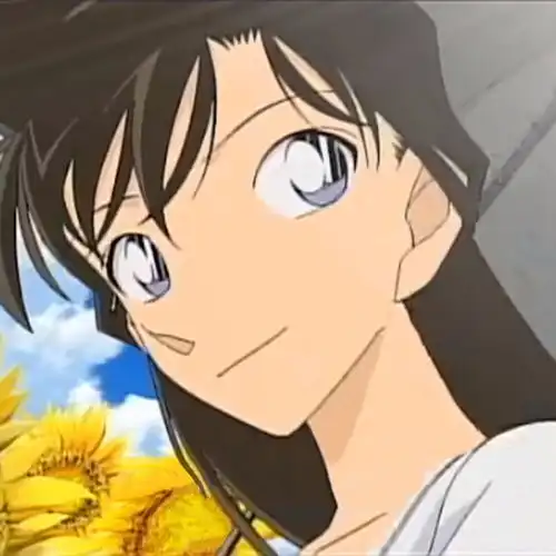 名侦探柯南小兰头像