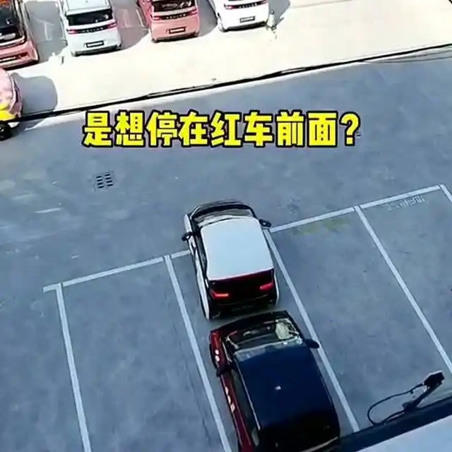 奇葩头像女生女司机