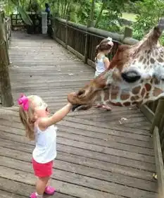 美女,衣服破成这样还穿没衣服我借你