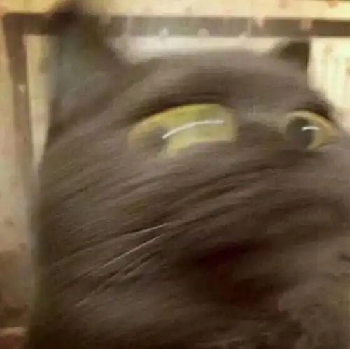 有哪些好看的闺头