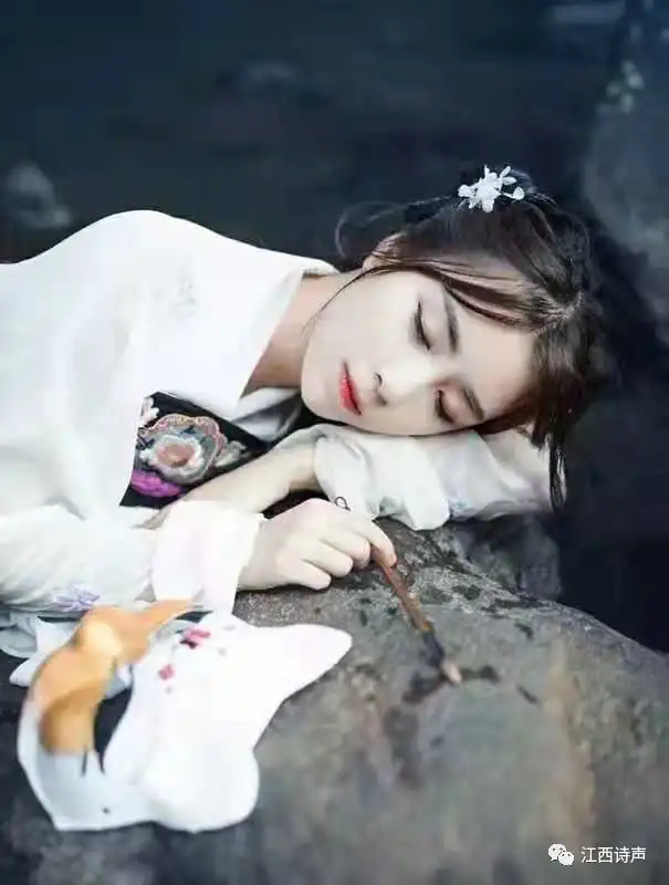 婉儿此生情任化作,暗香纷堕作者