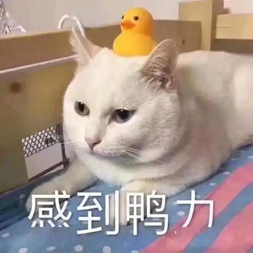 这30款纯欲风的春夏渣女美甲,拿图去做