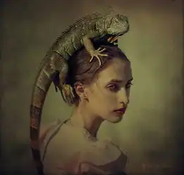 中国最具人气的摄影网站