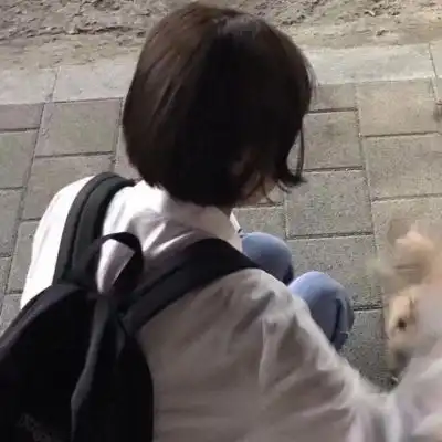 好看头像女生小清新可爱