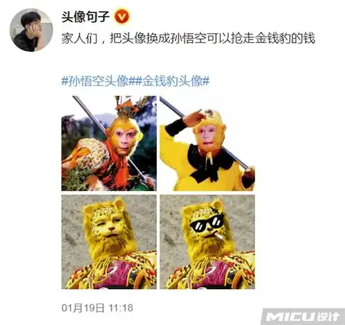 今年金钱豹比老虎还火