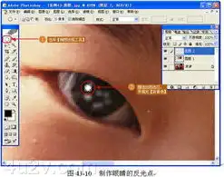 用photoshop送小女孩一双大眼睛
