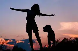 夕阳下的背影女生头像夕