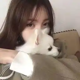 明明该浪的年纪,却偏偏妄想执一人之手到白头