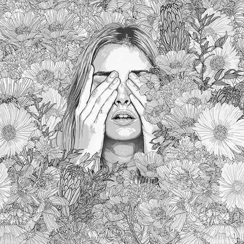 绽放的美丽只用铅笔就能画出来