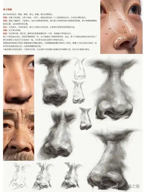 素描头像眼鼻嘴耳详细解析,值得收藏的干货