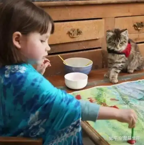 5岁自闭症女孩和缅因猫的故事