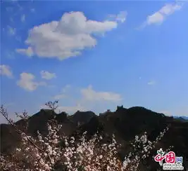 金山岭长城六大洲选手挑战世界最难马拉松