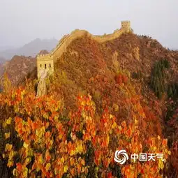 河北金山岭长城满山红叶秋韵浓
