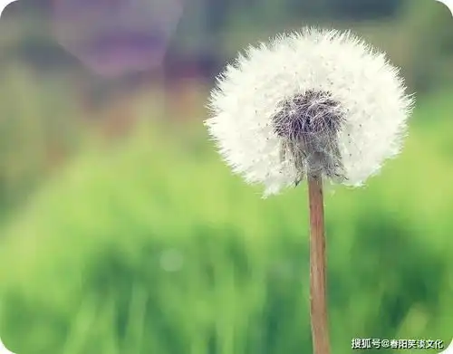 怎样才算有点厉害的好男人