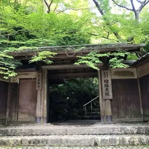 充满禅意的琉璃光院映青枫冠蓝狮sbgj241