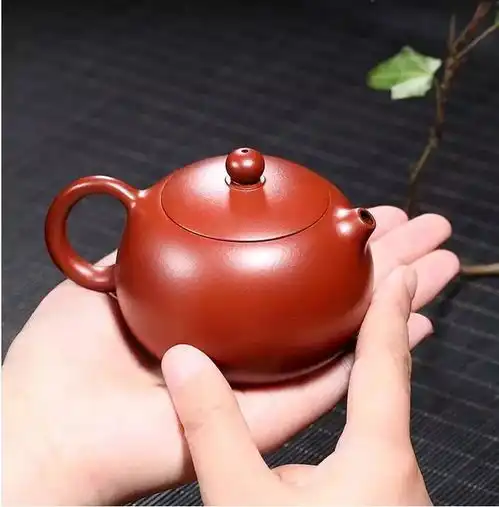 半盏清茶,观浮沉人生一颗静心,看清凉世界