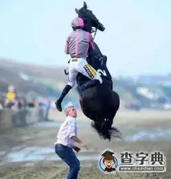 你做了什么马都受不了了搞笑图片