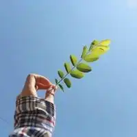 女生真人头像气质花朵微信头像图片大全