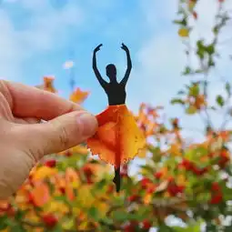 荐赏丨一部相机一张剪纸,他把全世界都玩坏了