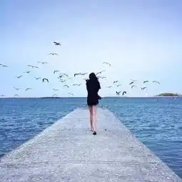 每日文摘时光渐渐陌生了彼此