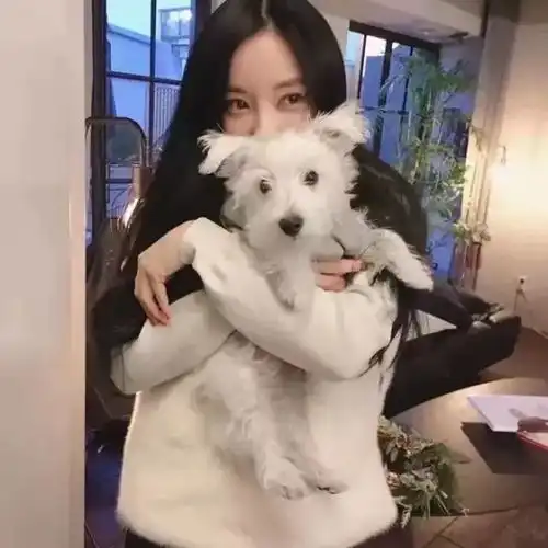 头像篇我想送花给你