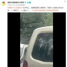 两美女酒后在宝马车里干这事被拍视频十分羞愧
