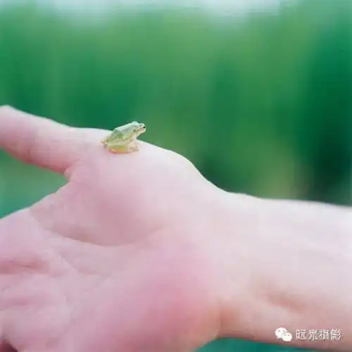 摄影艺考女摄影师川内伦子,66,孩子的眼睛