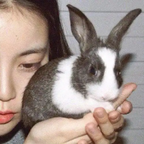 头像大全精选多系列微信头像值得一生收藏的神仙句子