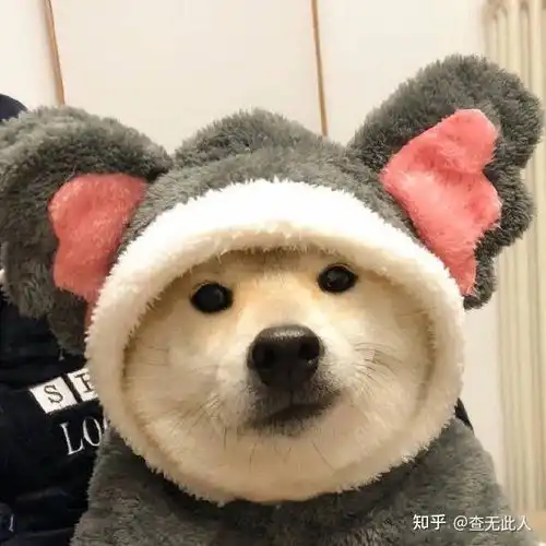 搞笑头像女生简单干净动