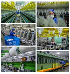 第四届上邦国际摄影俱乐部年赛8月18日参赛作品选登