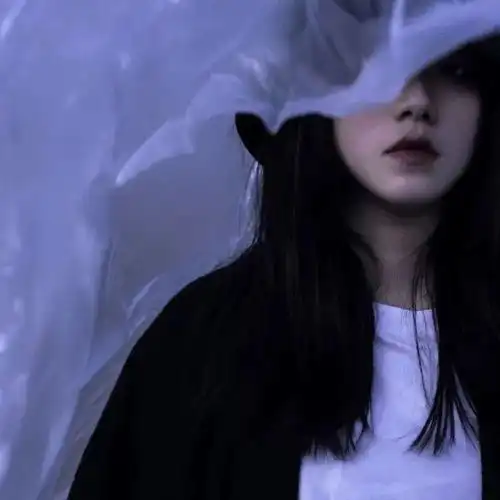 头像去没人的岛摸鲨鱼的角