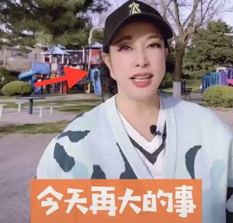 刘晓庆被指撞脸佛祖,眉毛和耳朵奇怪,一点都不像65岁的老人