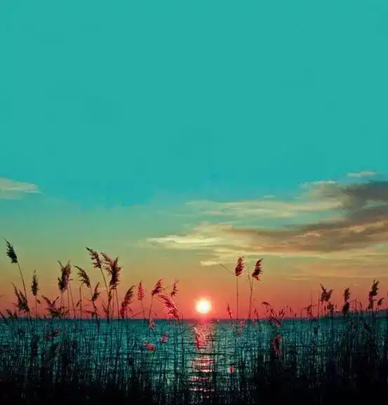 珍惜生命的美好