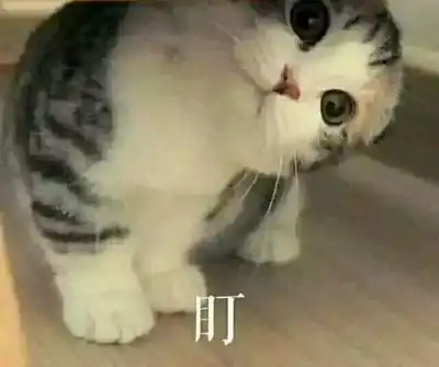 开心一刻段子从小爸爸就告诉我说,追女孩子要胆大心细脸皮厚