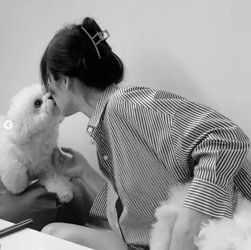 39岁宋慧乔的少女颜超正穿男友风衬衫气质慵懒,与爱犬疯狂亲吻