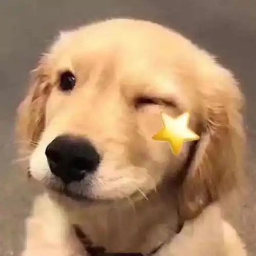 小年夜,离新年又近一步