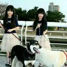 明星访谈丨青春美少女眼中的炫酷洛杉矶内含福利及上期获奖名单