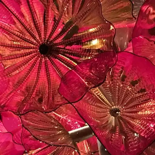 异想天开的亚特兰大花园,以文化创意与艺术保持生长