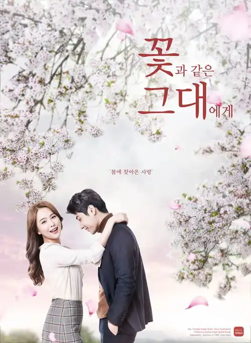 樱花外景女生写真闺蜜情侣婚纱照旅拍摄影后期模板psd素材樱花背景海报背景素材